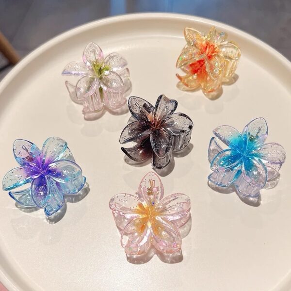 Imported korean assorted hair claws set of 4 - Image 3