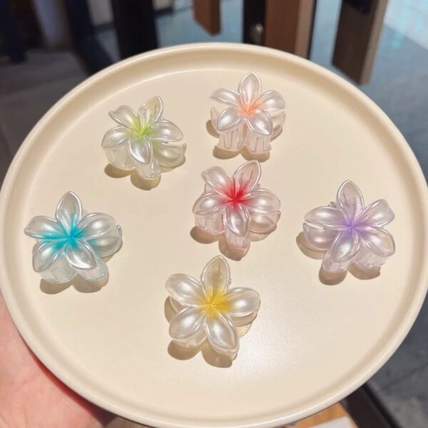 Imported korean assorted hair claws set of 4 - Image 8